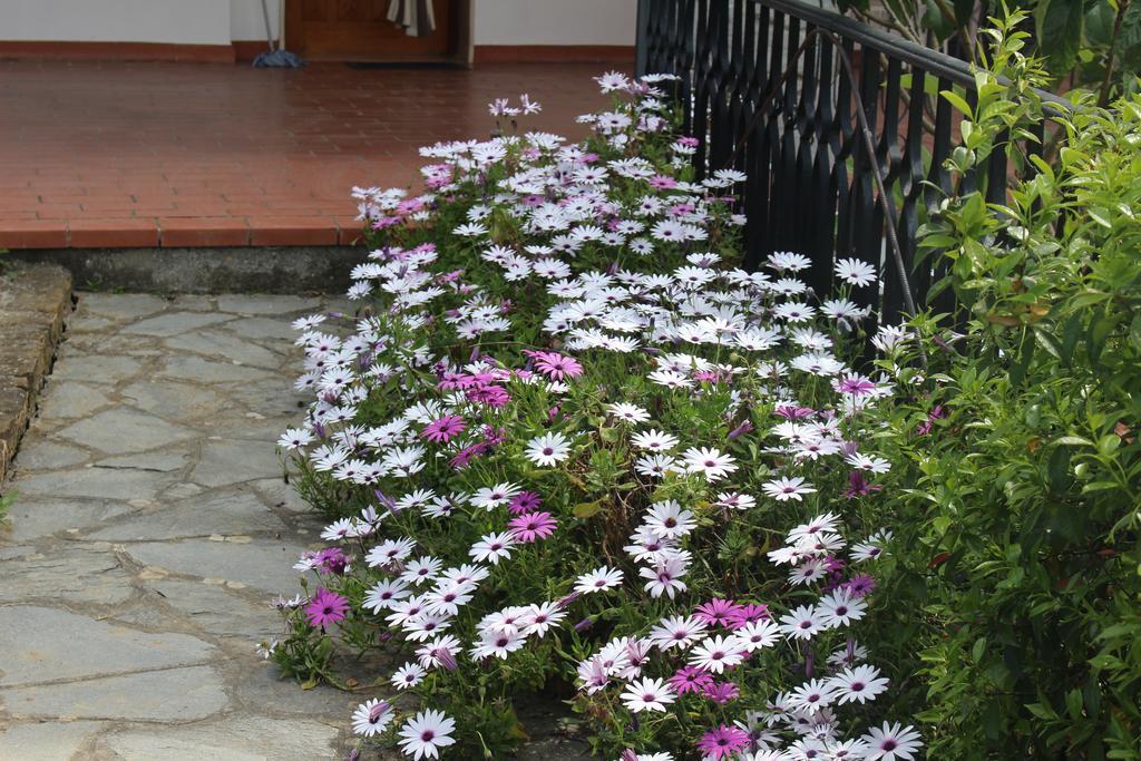 House In Caramagna Διαμέρισμα Imperia Δωμάτιο φωτογραφία